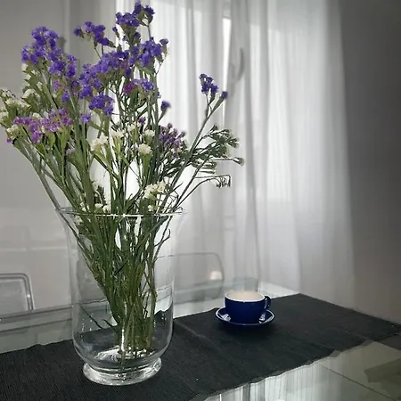 Apartment D-alameda Cadiz