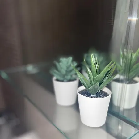 D-alameda Apartment *